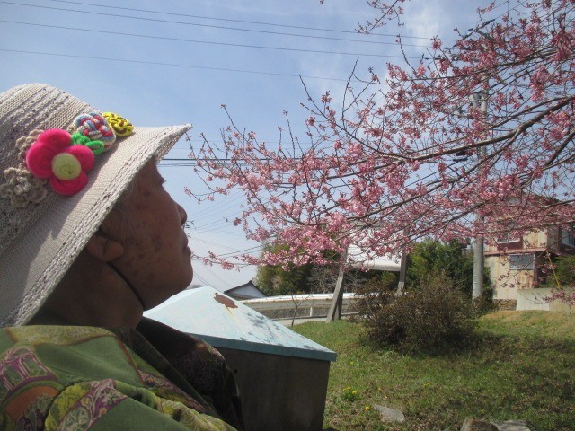 48c62995bfe40001468f0d48af153393-1781080102.jpg