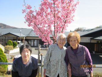 お花見06